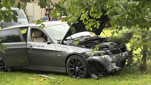 BMW w płocie i na podwórku