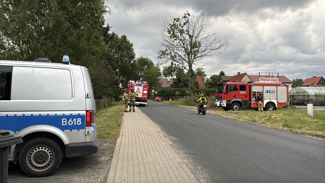 BMW w płocie i na podwórku