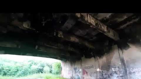 Zarasta papiernia w Janowicach Wielkich