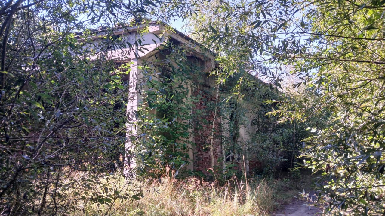 Zarasta papiernia w Janowicach Wielkich