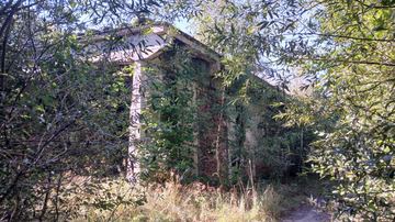 Zarasta papiernia w Janowicach Wielkich