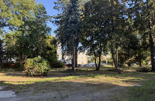 Zameczek już lśni, teraz czas na park
