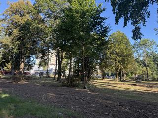 Zameczek już lśni, teraz czas na park