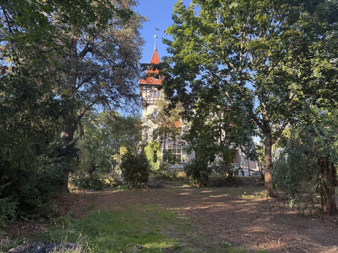 Zameczek już lśni, teraz czas na park