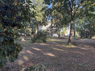 Zameczek już lśni, teraz czas na park