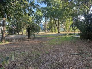 Zameczek już lśni, teraz czas na park