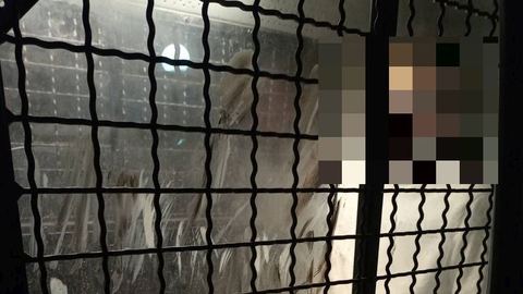 Uciekał przed policjantami– został zatrzymany. Kierował wbrew zakazom
