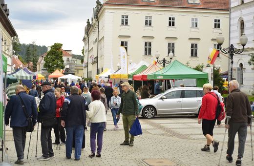 Święto pszczół i miodu w Cieplicach