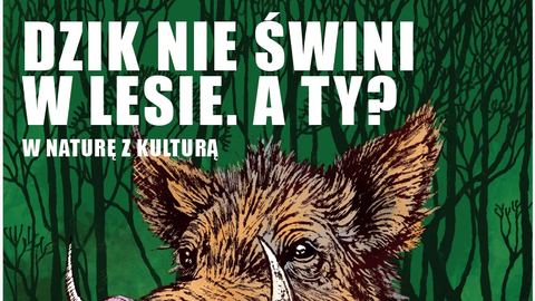Sprzątanie Świata 2025
