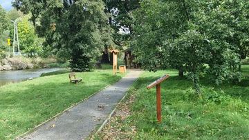 Dębowa Wyspa zostanie odnowiona