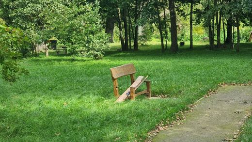 Dębowa Wyspa zostanie odnowiona