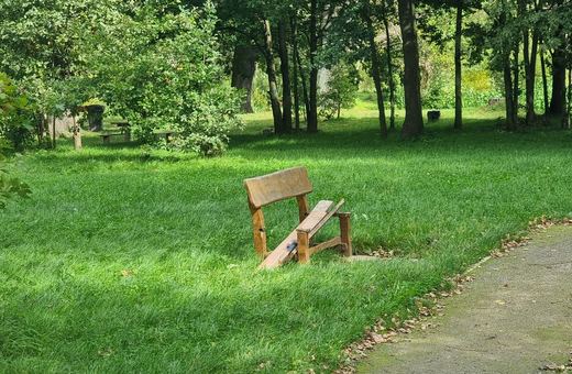 Dębowa Wyspa zostanie odnowiona