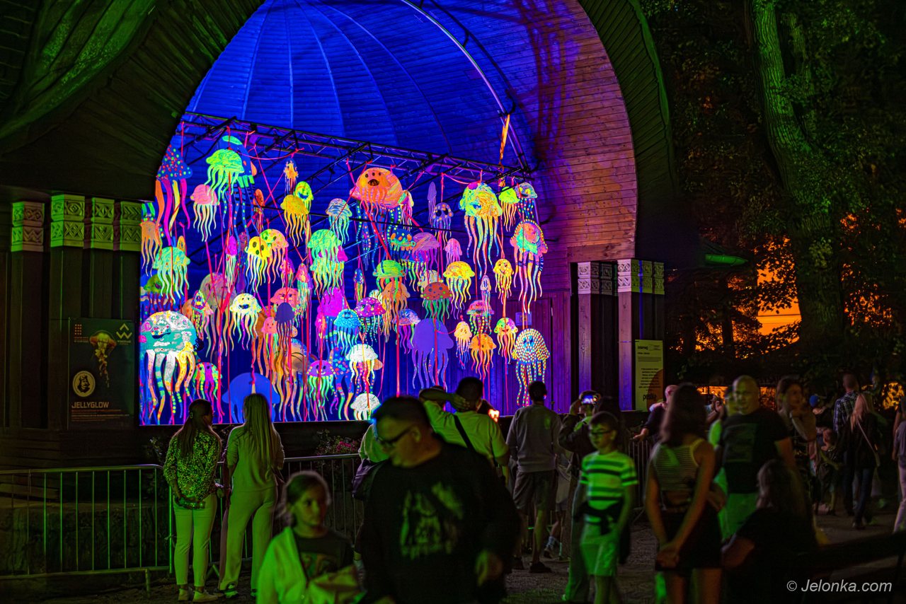 Festiwal Światła – 2 dzień