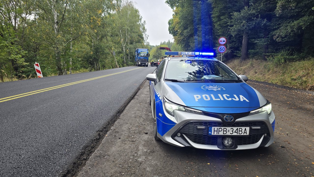 Ciężarówką w drzewo