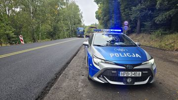 Ciężarówką w drzewo