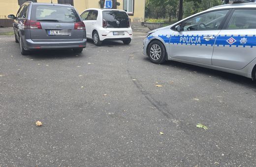 "L"–ka na dachu – uczą jeździć, czy być kierowcą?