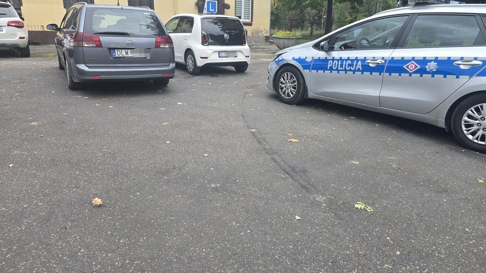 "L"–ka na dachu – uczą jeździć, czy być kierowcą?