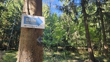 Jak oczyścić głowy, czyli Połowa Przejścia Kotliny Jeleniogórskiej 2025 – relacja
