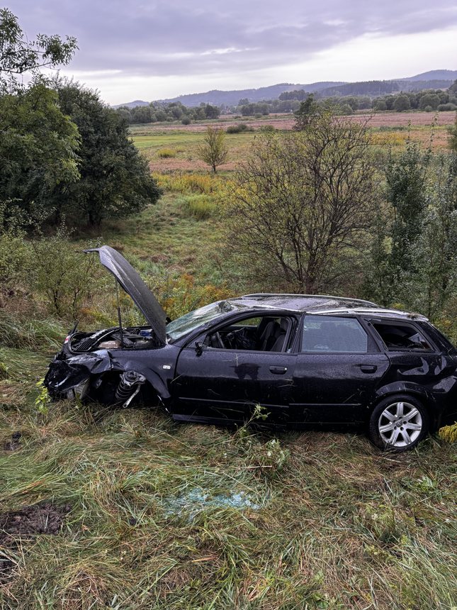 Audi wypadło z drogi na ul. Wincentego Pola