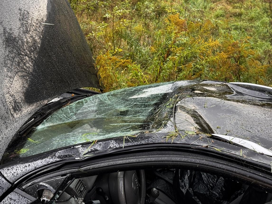 Audi wypadło z drogi na ul. Wincentego Pola