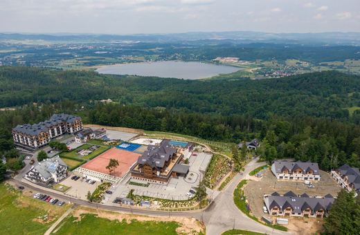Kłopoty Seidorfa – kto komu zabrał 1 mln zł?