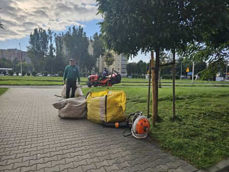 Porządki na Zabobrzu