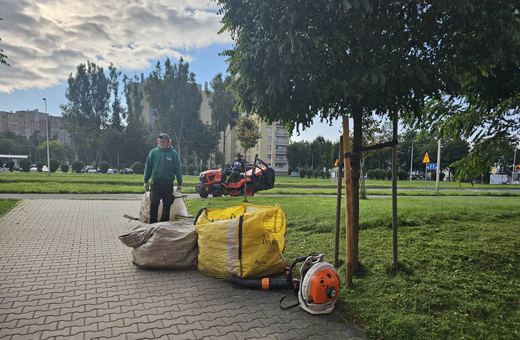 Porządki na Zabobrzu