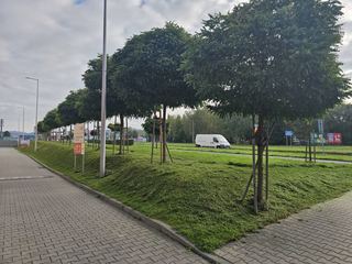 Porządki na Zabobrzu
