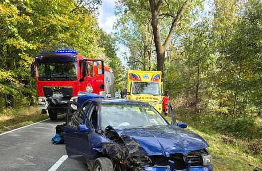 Nieostrożny manewr, auto w drzewie