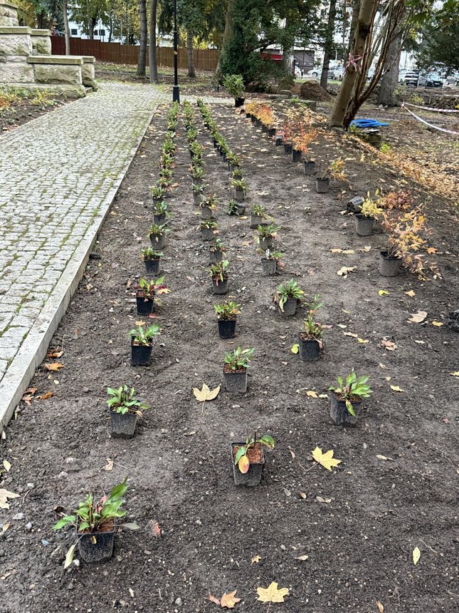 Park przestanie straszyć