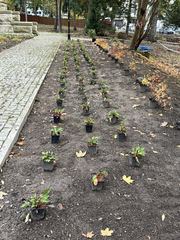 Park przestanie straszyć