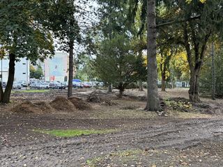 Park przestanie straszyć