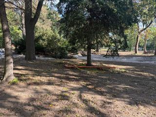 Park przestanie straszyć