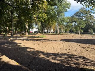 Park przestanie straszyć