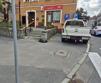 Na chodniku, na trawie… i po mandacie