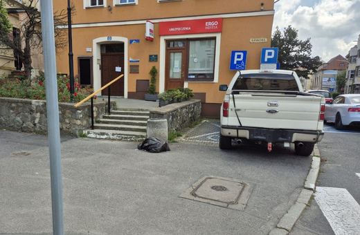 Na chodniku, na trawie… i po mandacie