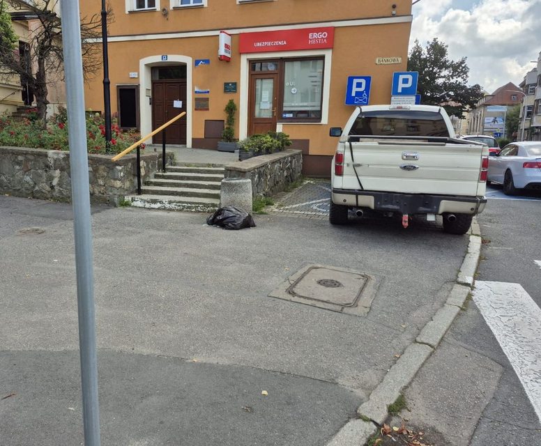 Na chodniku, na trawie… i po mandacie