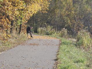 Złota polska jesień