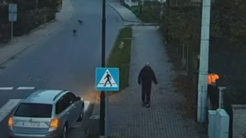 Kierowca uratował chłopca – odpędził psy
