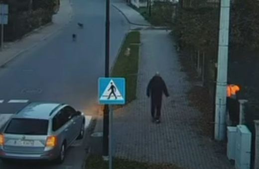 Kierowca uratował chłopca – odpędził psy