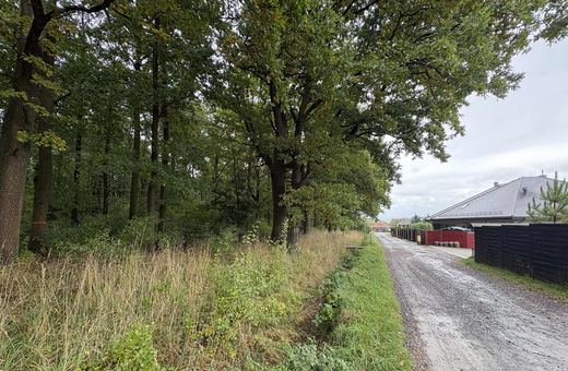 „Autostrada” na Górę Szybowcową?