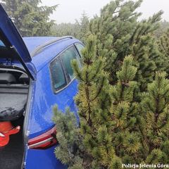 Niewiarygodne – Skoda skradziona w Czechach ukryta wysoko w Karkonoszach!