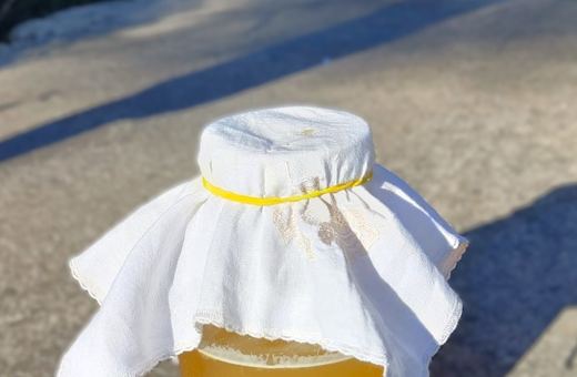 Kombucha: naturalna bomba probiotyczna