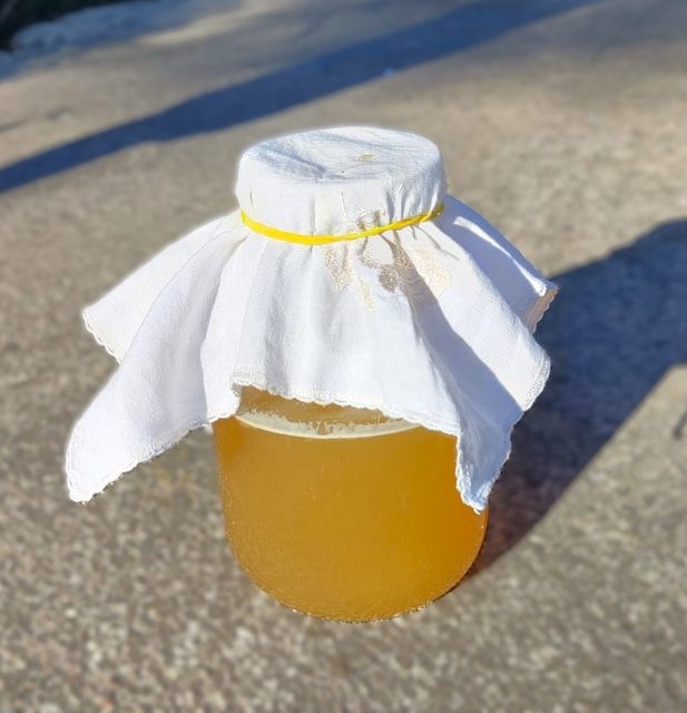 Kombucha: naturalna bomba probiotyczna