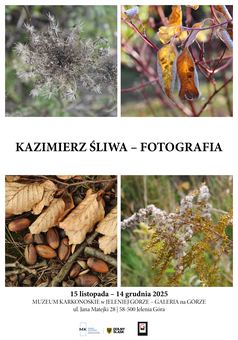 Kazimierz Śliwa w Muzeum Karkonoskim