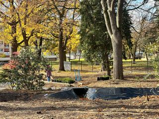 Koniec z chaszczami – wraca park