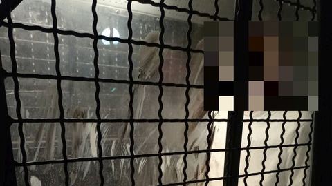 Agresja wobec policjantów w jeleniogórskiej restauracji – zatrzymano dwóch braci