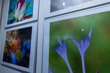 Zdjęcia Kazimierza Śliwy w Muzeum Karkonoskim