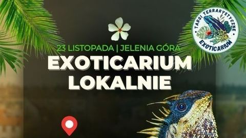 Egzotyczne zwierzęta w Jeleniej Górze