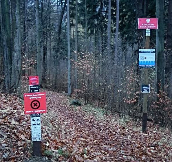 Sezon na trasach rowerowych dobiegł końca